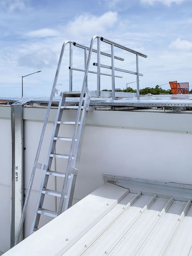 Roof step ladder hotsell
