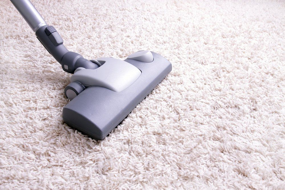 Cleaning the Carpet — Pest Control in Bundaberg, QLD