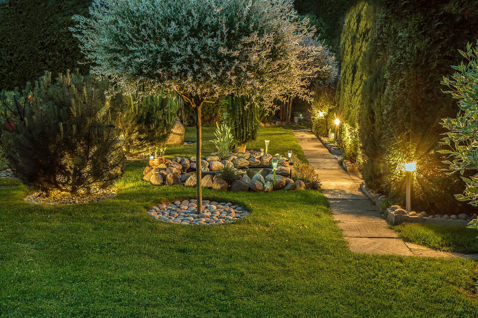 Garden illuminated by lamps