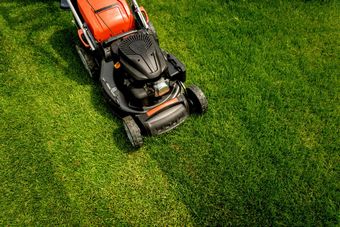 Lawn mower on green grass. Summer garden