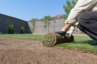 installing new lawn