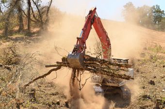 Machine removing trees