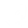 Warranty icon