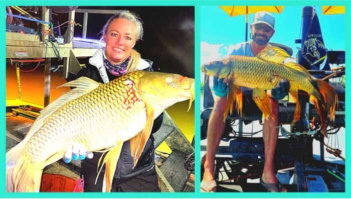 A woman is holding a large fish next to a man holding a large fish.