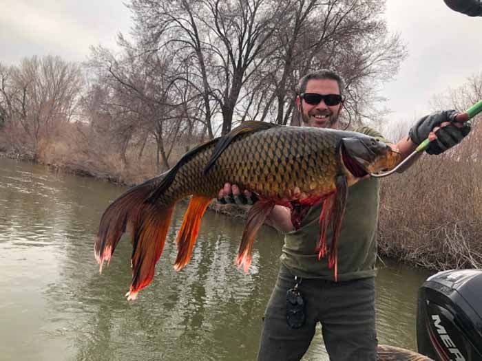 A man is holding a large fish in his hands in front of a river.
