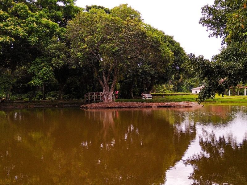 Lago com ponte e ilha ao centro
