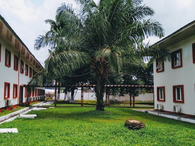 Vista do hotel com palmeira lado interno