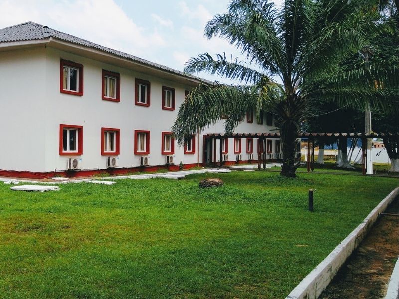 VIsta do hotel com palmeira ao fundo