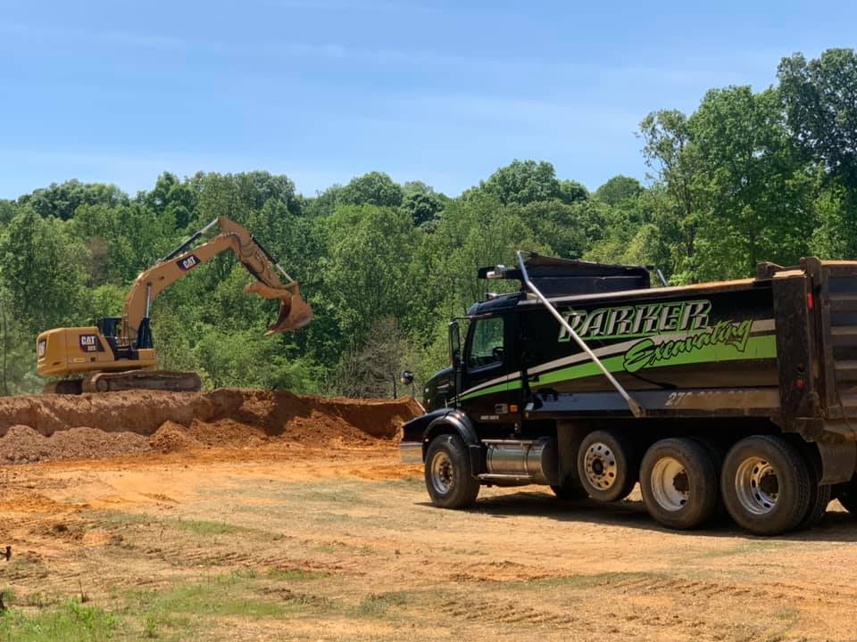 closeup blades of grass with dew