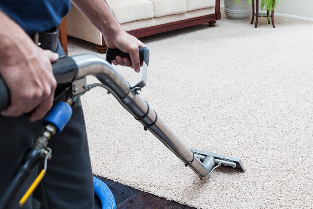 Steam Cleaning Carpets | West Bend, WI | Meyer Carpet Cleaning