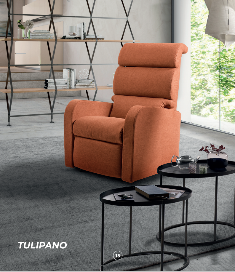 Appia medical - poltrona ortopediche 