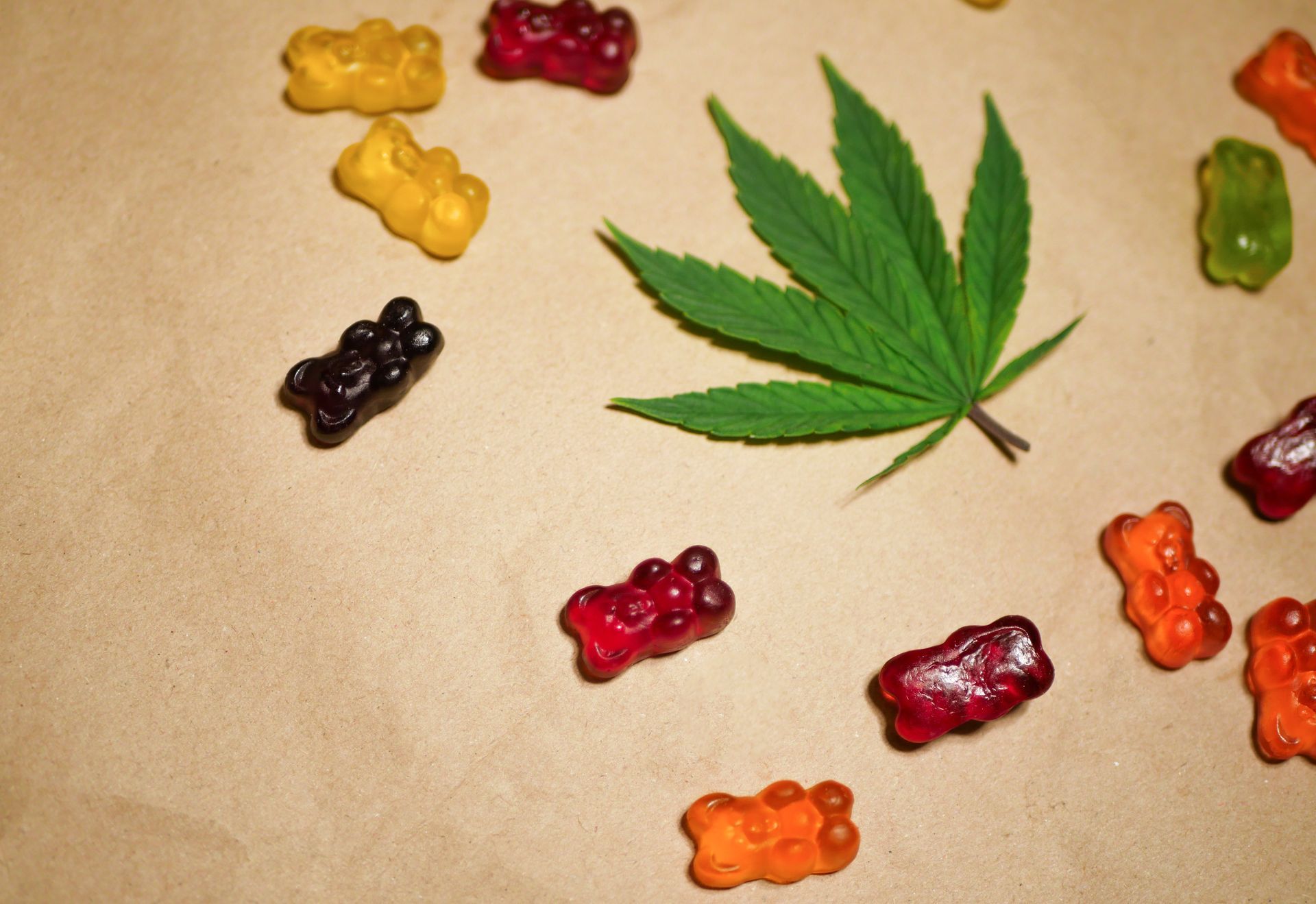 gummy edibles next to a hemp leaf