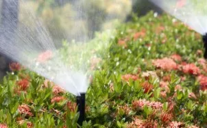 Lawn Sprinker | Brownstown, MI | Absolute Quality Lawn Sprinklers