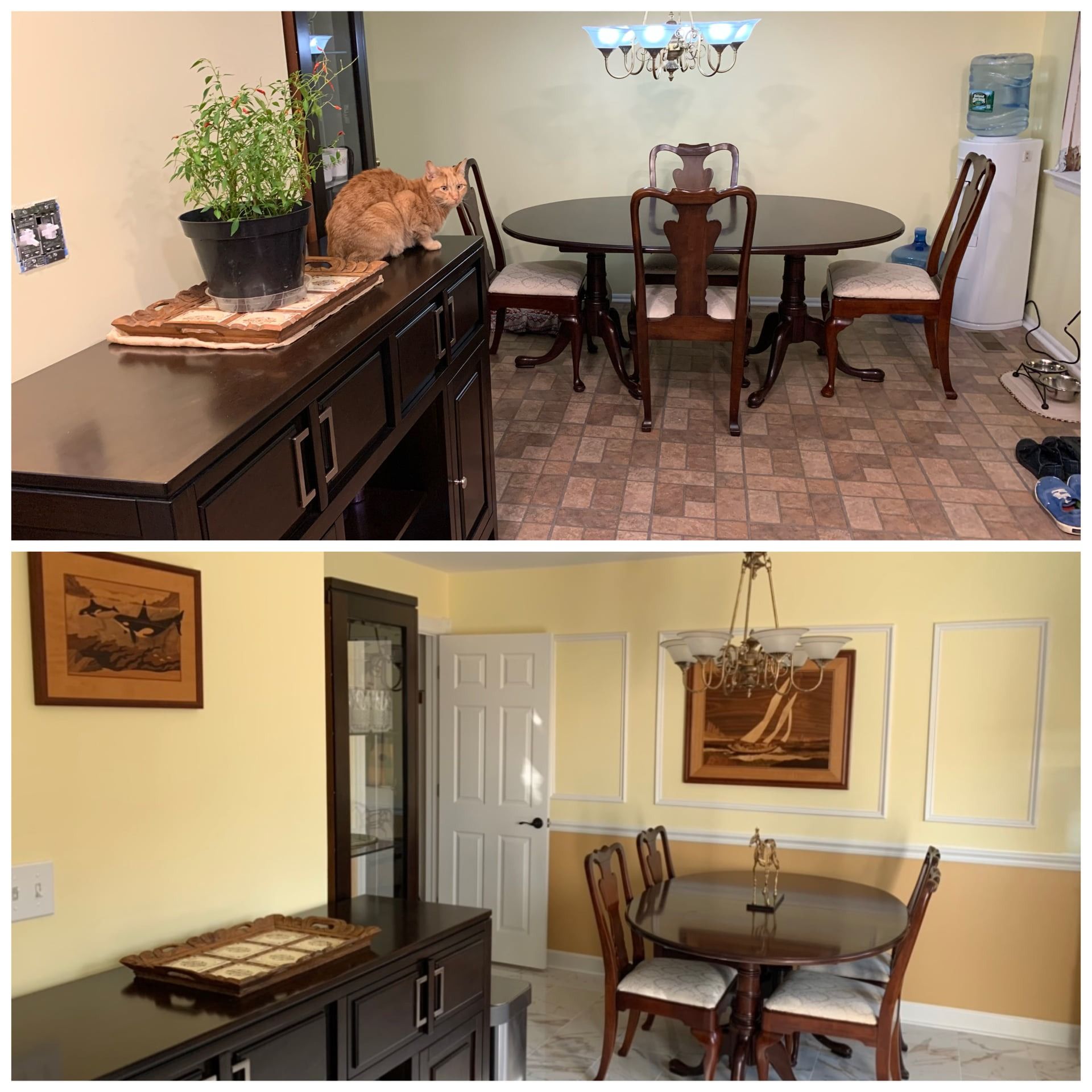Two dining room scenes: top view shows cat on dark buffet near plant; bottom view shows dining table with artwork.