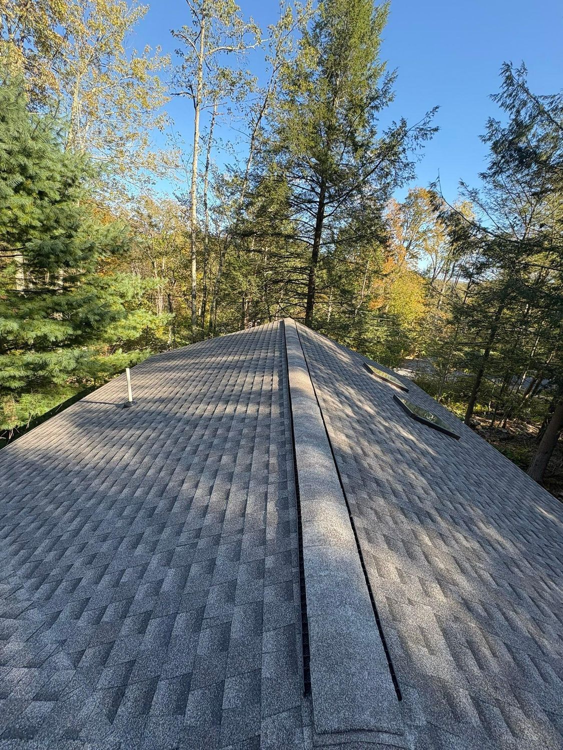 An outdoor view looking down the shingled ridge of a roof, featuring a long, central ventilation strip against treeline.
