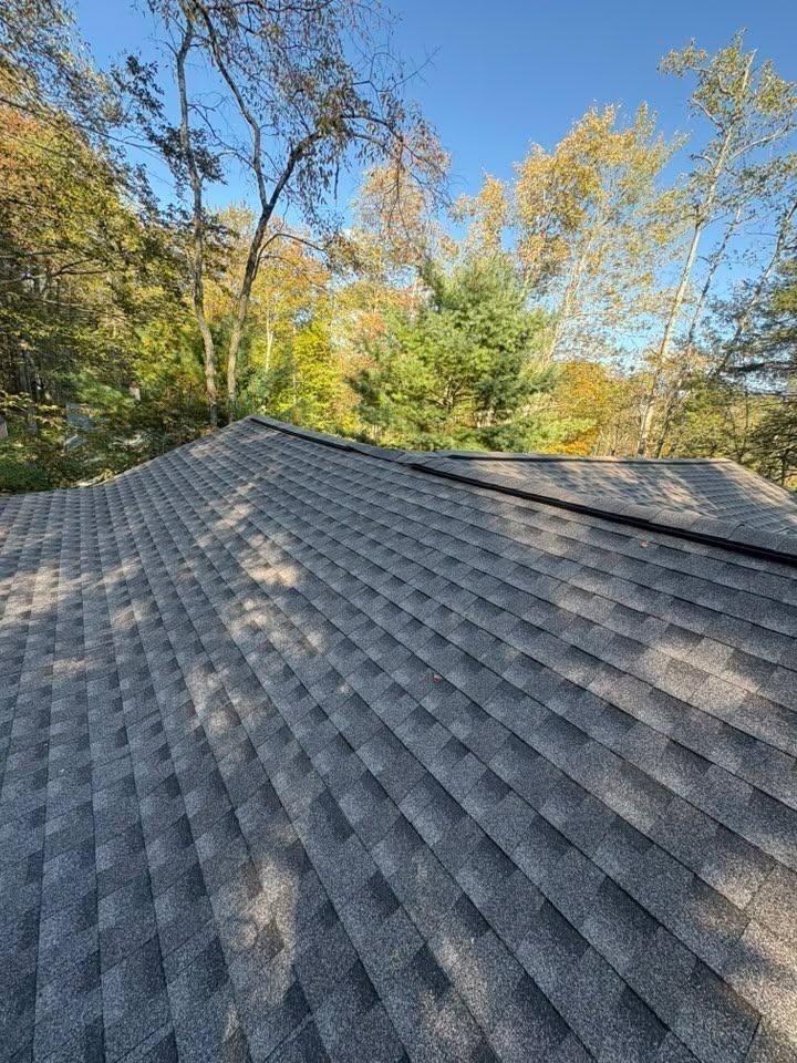 A view from a roof looking up at gray shingles leading toward a treeline under a clear blue sky.