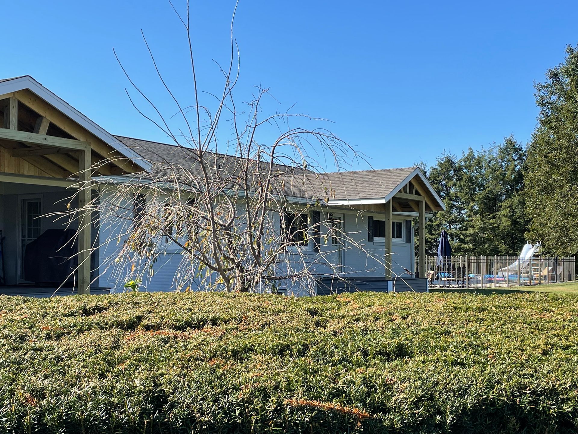 A white house with a covered porch behind a trimmed hedge and a leafless weeping tree, set under a clear blue sky.