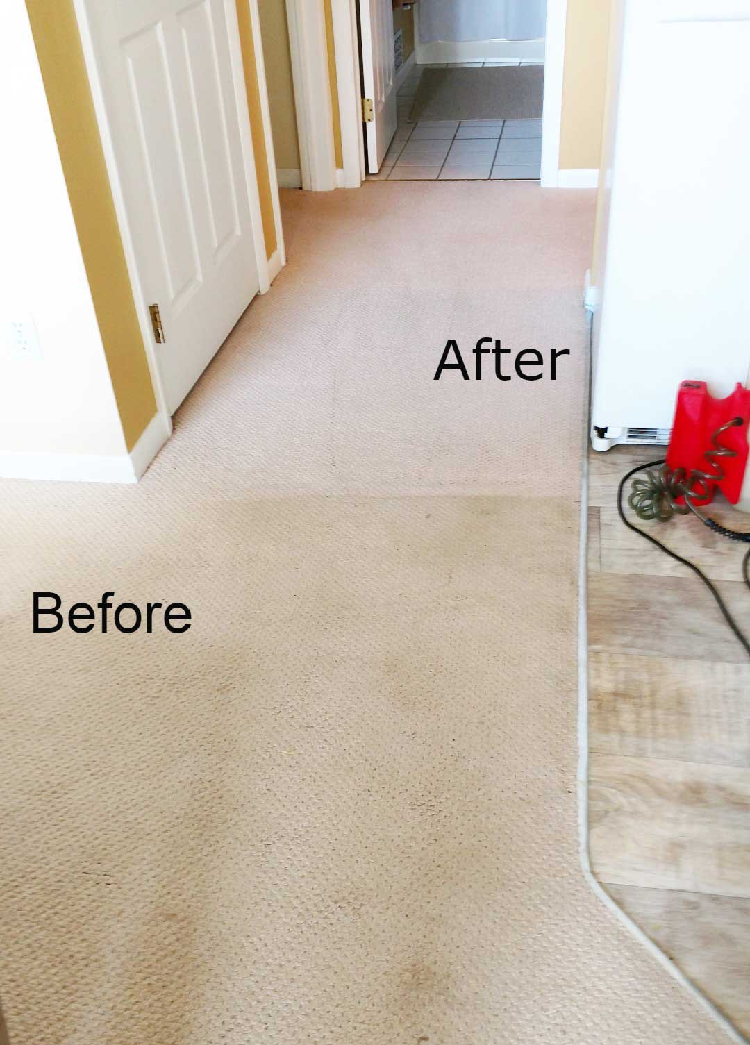 Carpet Look After It Was Cleaned — St. John’s, MI — Clover Carpet Cleaning