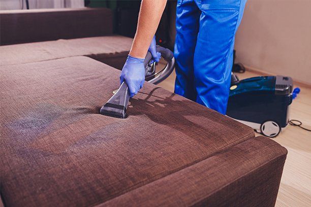 Applying Fast Drying Fabric Protector — St. John’s, MI — Clover Carpet Cleaning