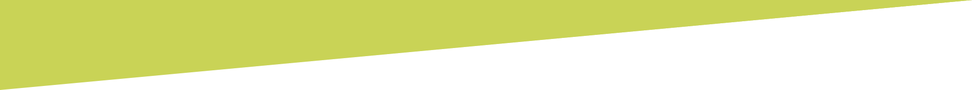 A close up of a piece of green paper on a white background.