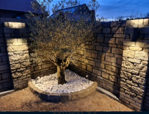 Lighting Installations