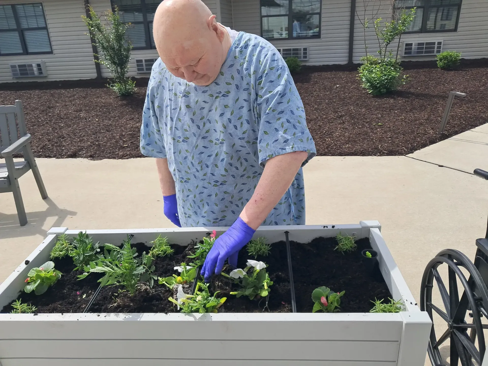 Man in blue gloves and shirt tending a raised garden bed outdoors near a building.