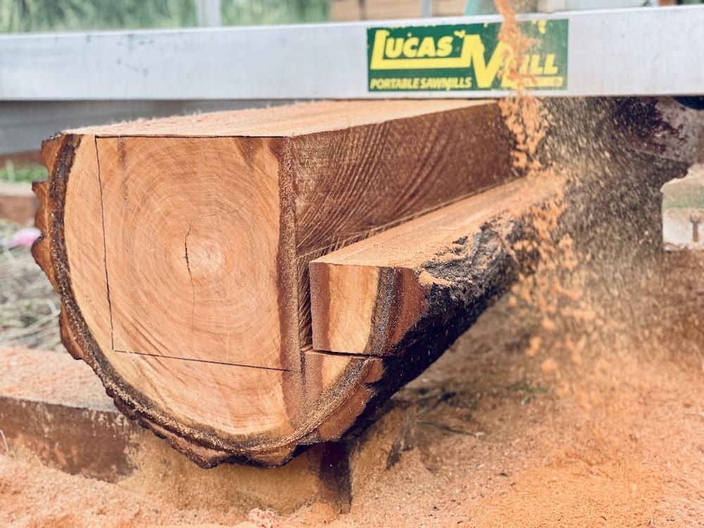 Log Being Milled With a Portable Sawmill, Producing Wood Pieces and Sawdust — LS Plant Hire in Calliope, QLD
