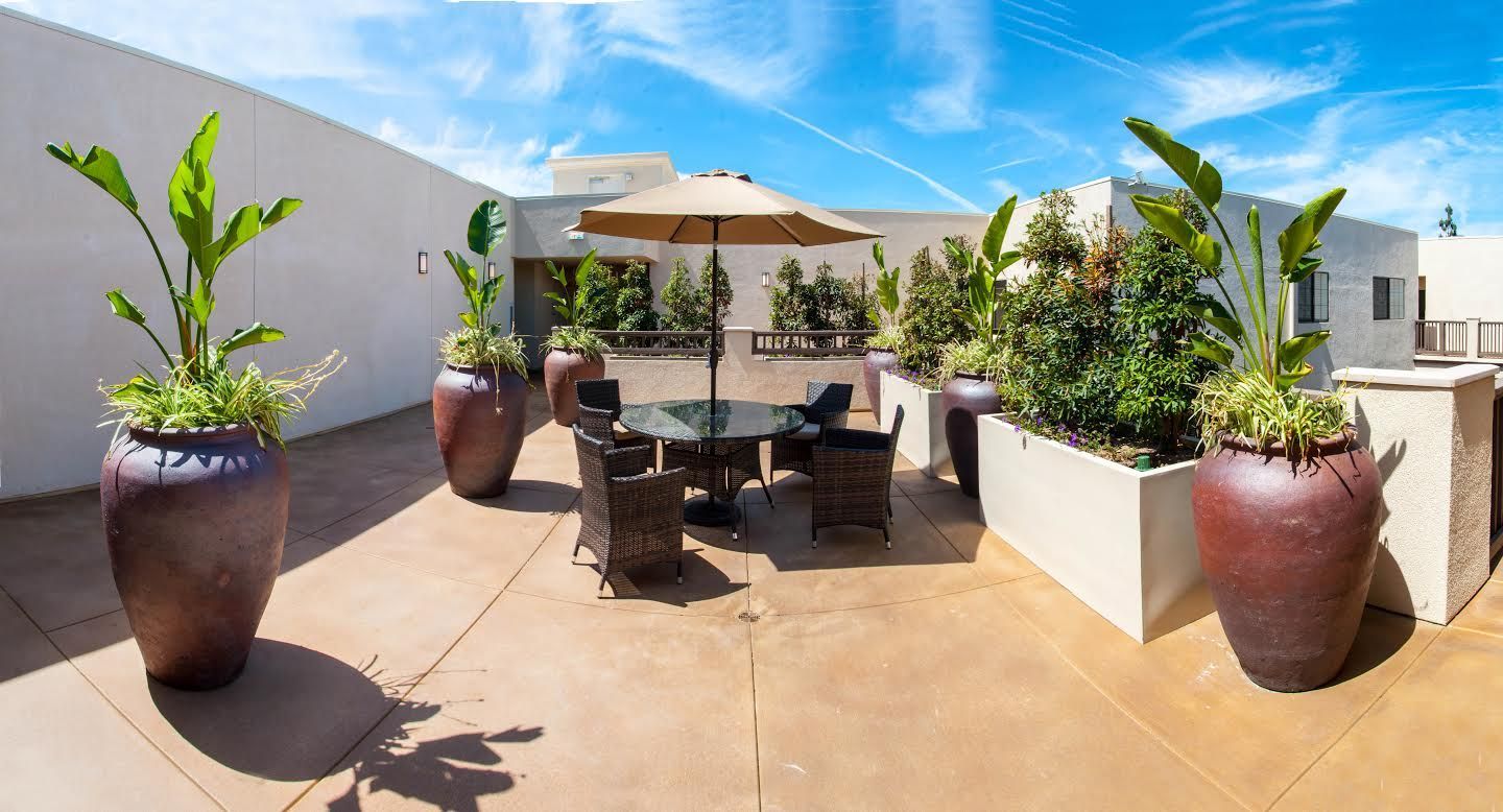 Rooftop patio with seating, potted plants, and an umbrella under a blue sky.
