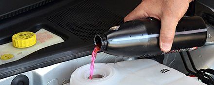 Coolant flush in Papamoa