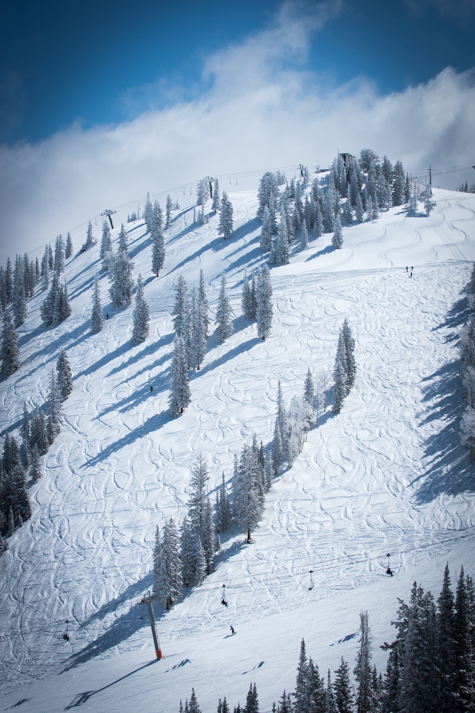 Snowy mountain slope with trees casting long shadows under a bright blue sky; skiers/snowboarders descend.