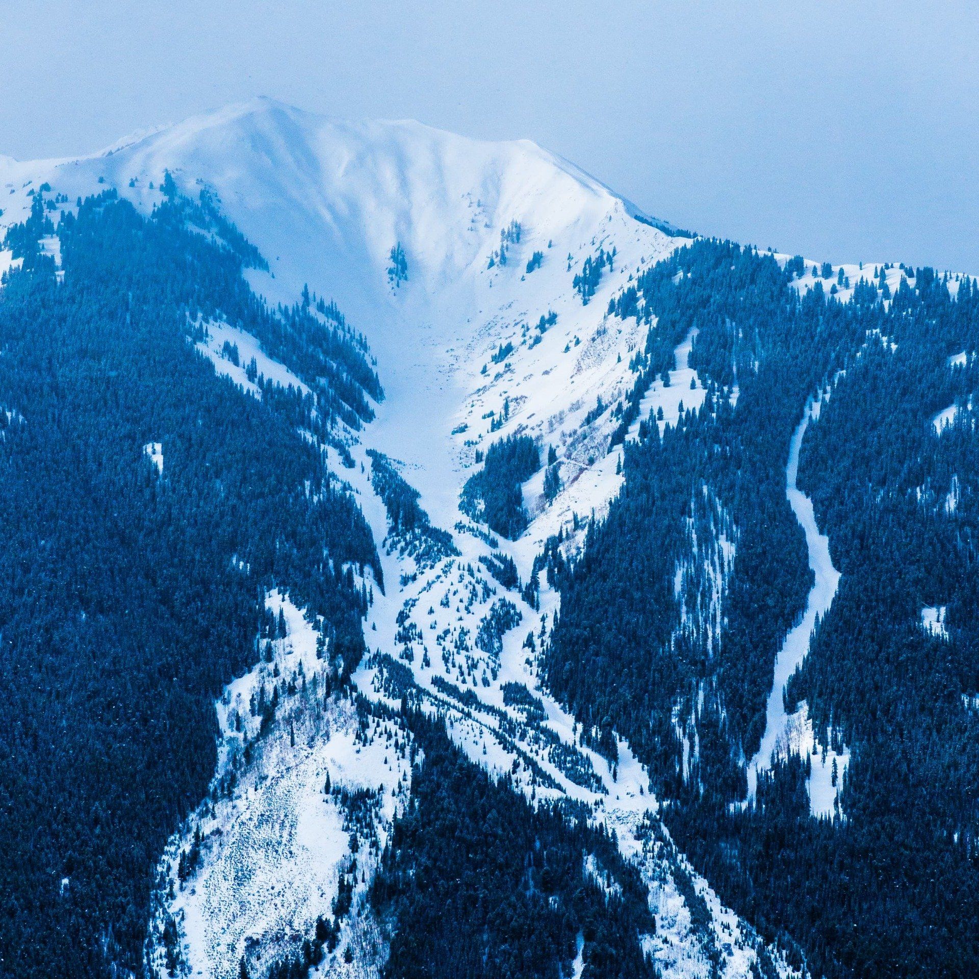 Snow-covered Highlands Bowl with a dark green treeline at the base. The peak has a steep, snowy gully.
