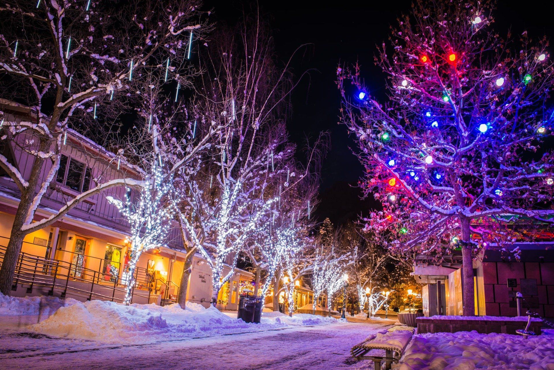 Snow-covered street lined with trees and buildings, illuminated by holiday lights at night; colorful and white lights glow against the dark sky.