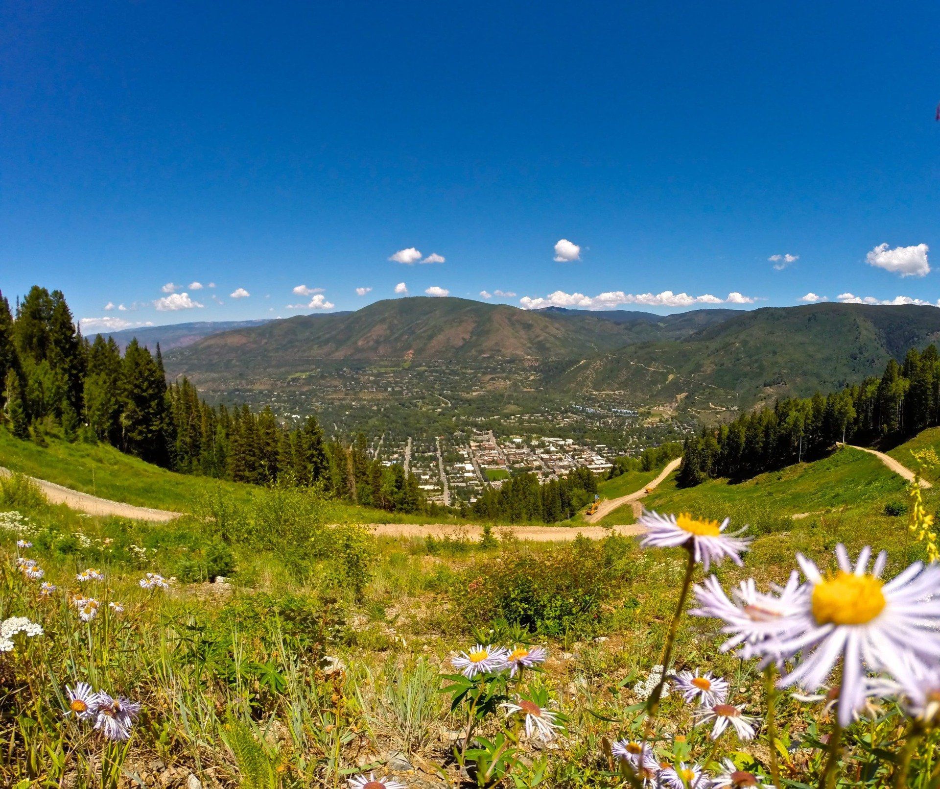 View from a mountainside with wildflowers in the foreground looking down upon a town nestled in a valley under a bright blue sky.