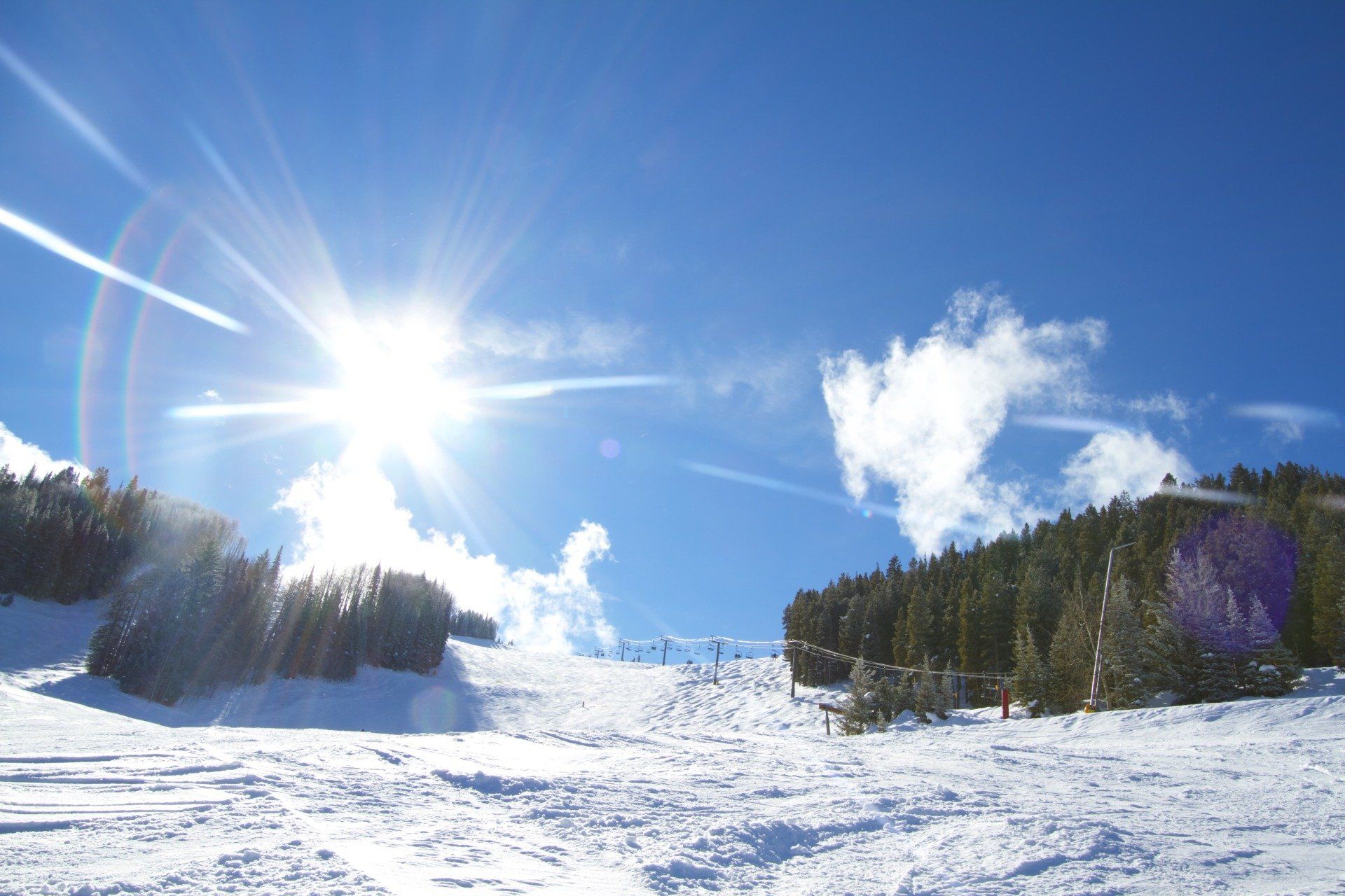 Bright sunshine over a snow-covered ski slope with evergreen trees and blue sky.