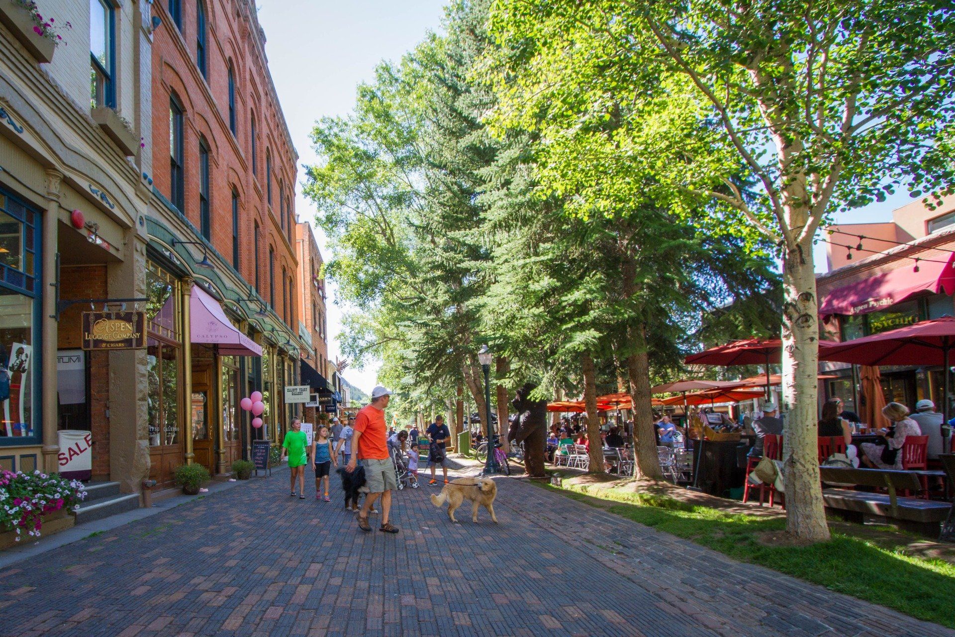 Brick-paved street lined with shops and restaurants. People walk and a dog is leashed. Sunny day, with trees and a brick building.