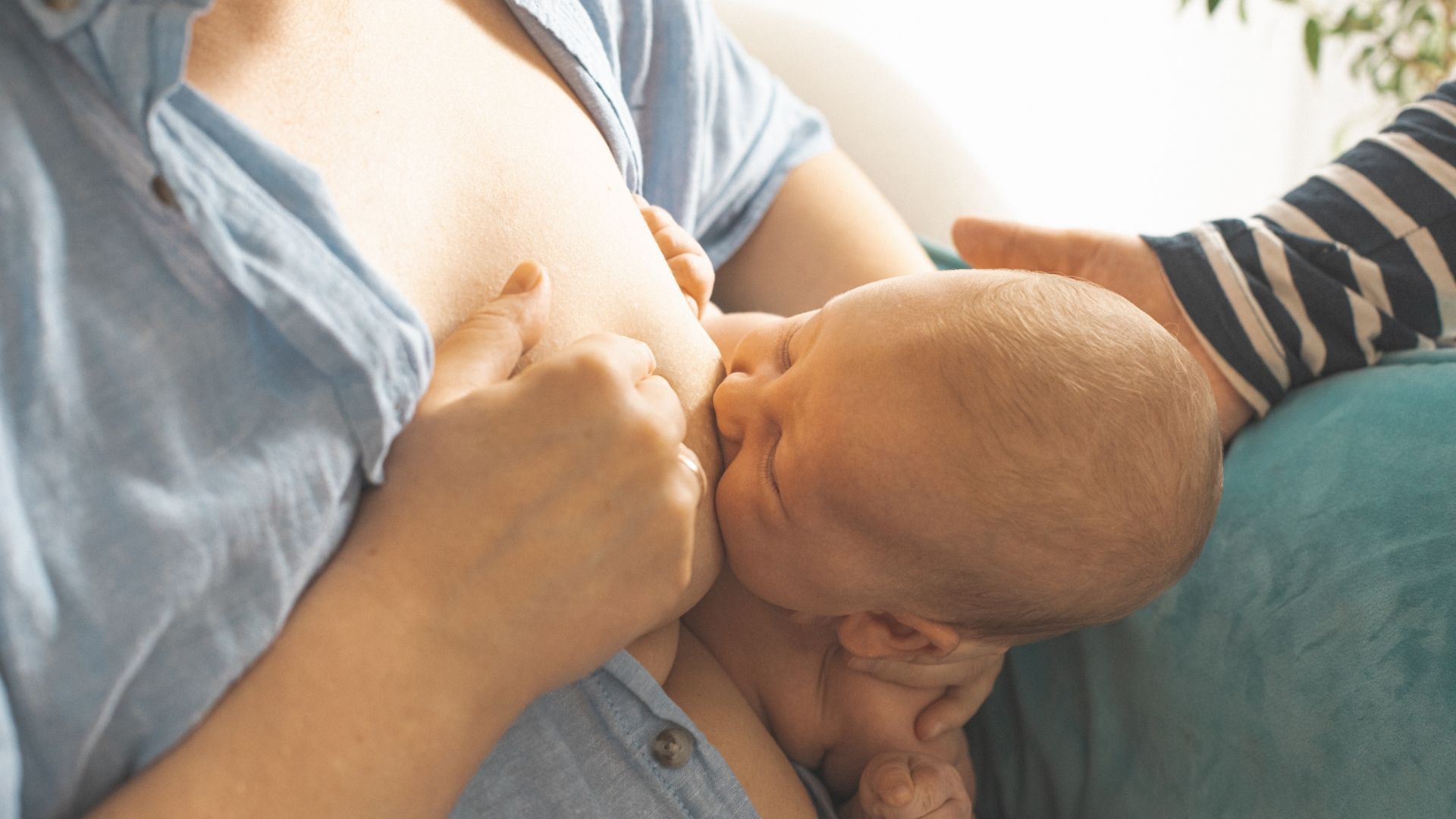 Lactation consultant near me 