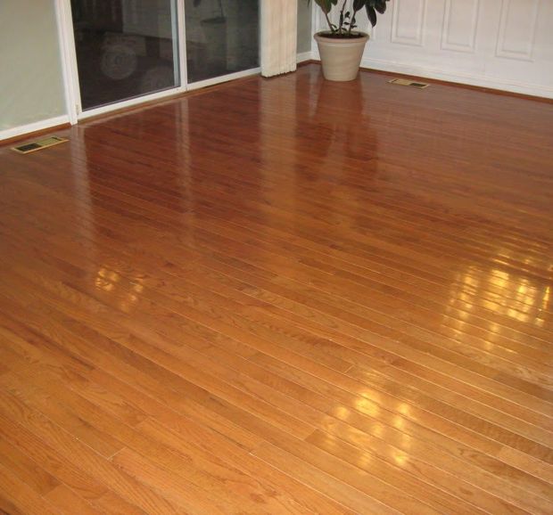 Empty room with glossy hardwood floor, white walls, sliding glass door, and a potted plant near the corner