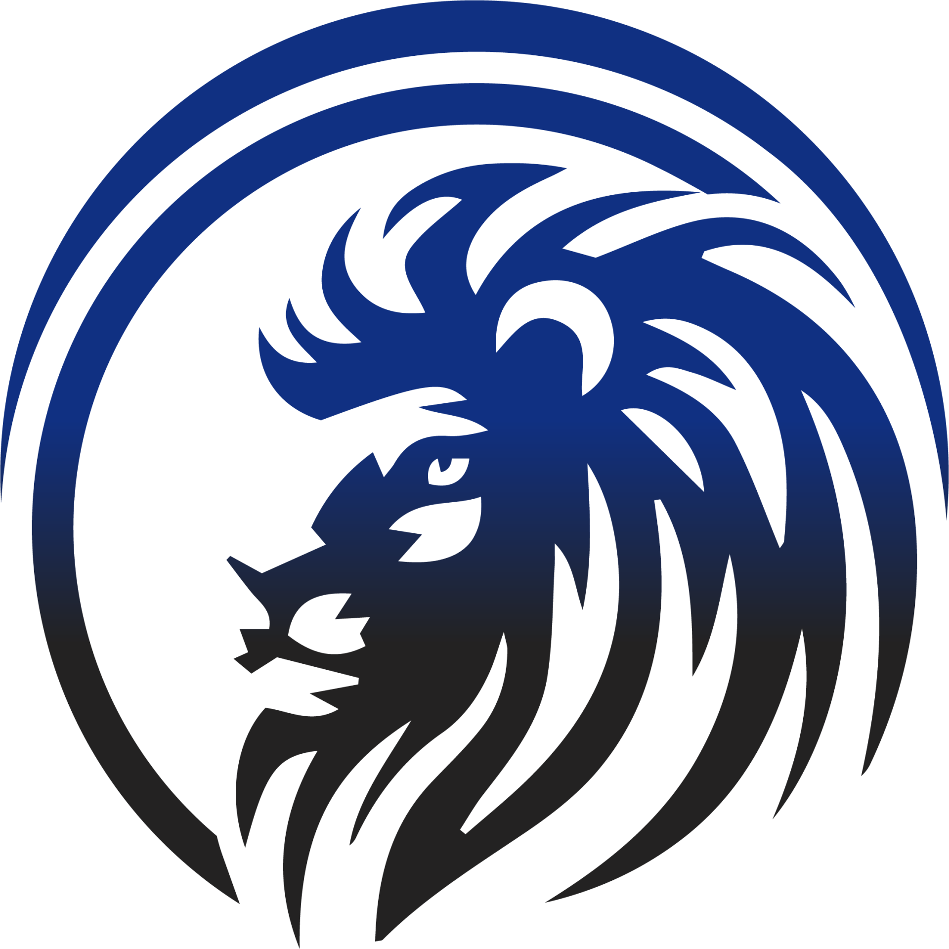 Get expert blog writing services with Digital Kings Networking - based in Charlotte, but aiding businesses nationwide.