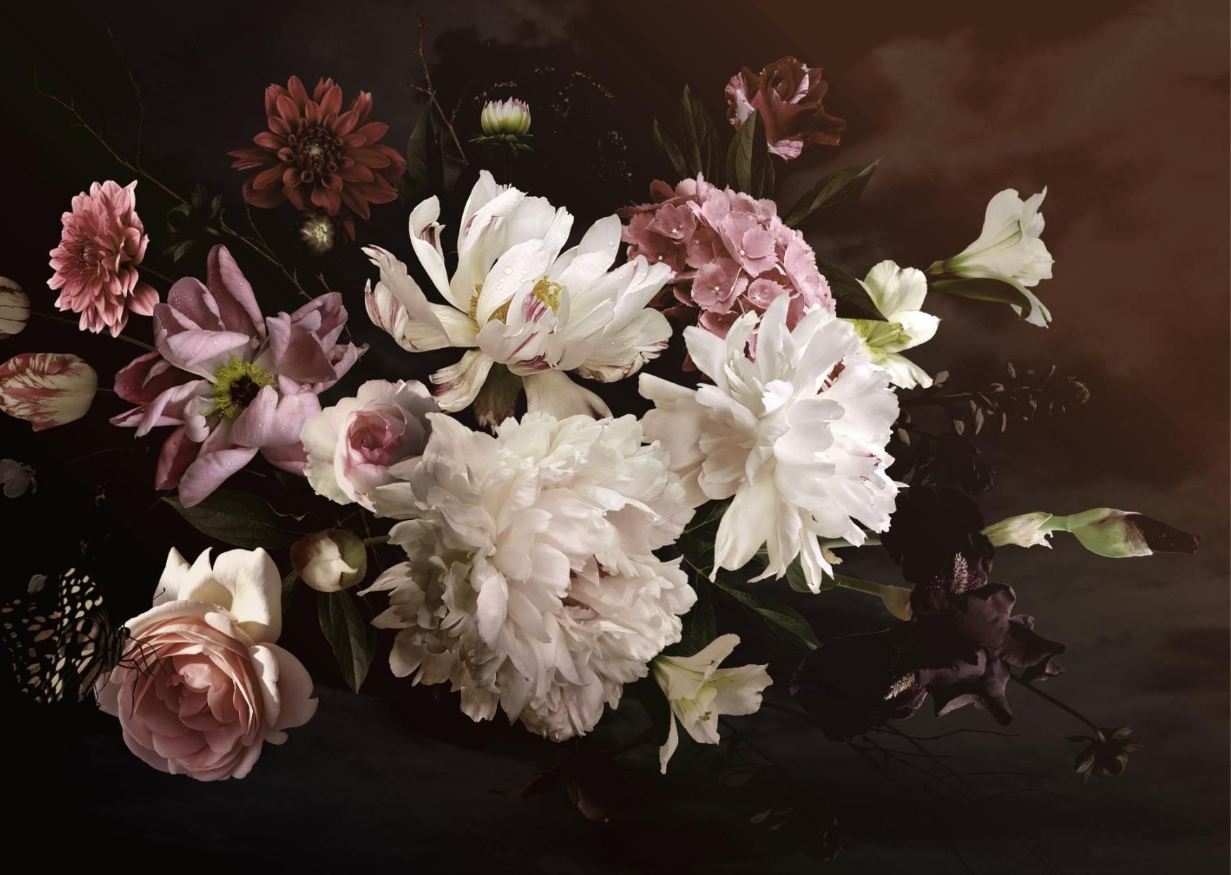 A dark floral still life featuring white, pink, and burgundy blooms against a shadowy backdrop.