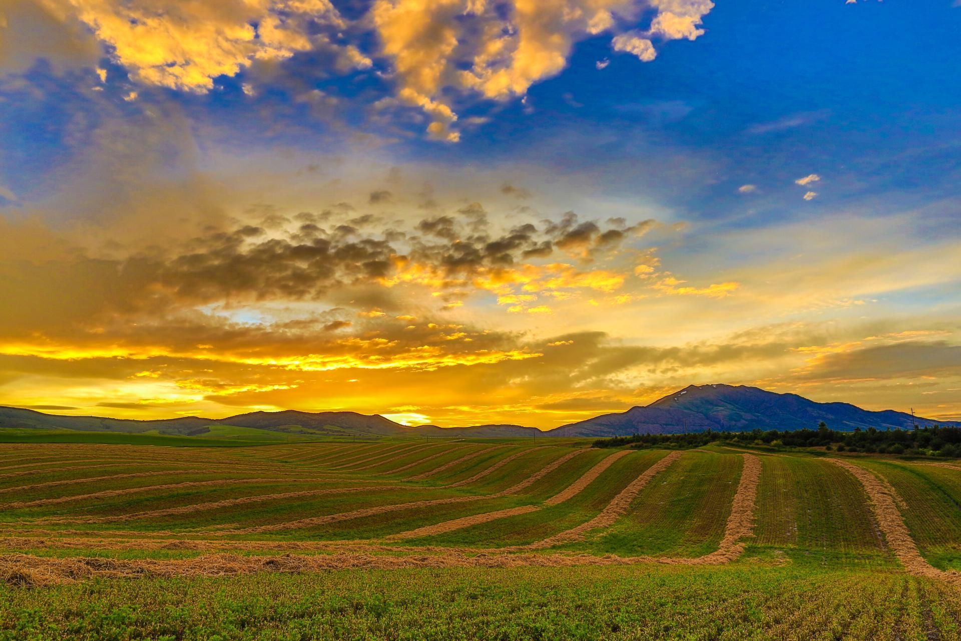 Golden sunset over a harvested field with a mountain silhouette in the background; blue sky with wispy clouds.