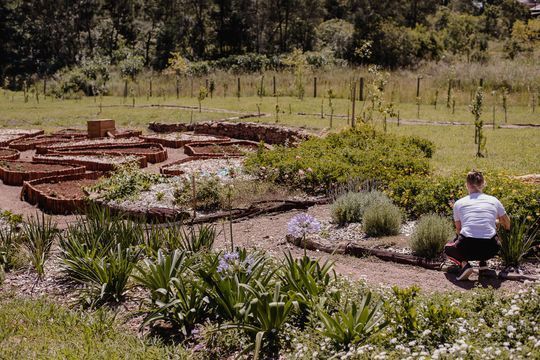 Um homem está sentado em posição de lótus em um jardim.