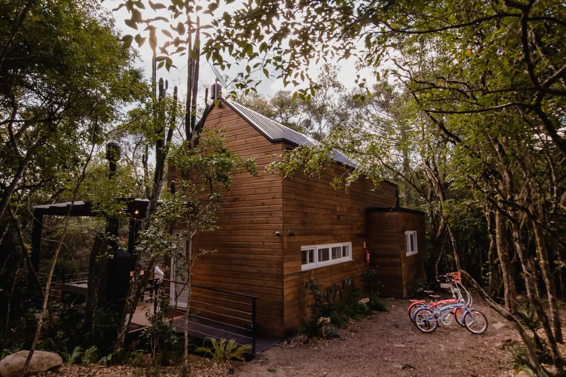 Uma casa de madeira no meio de uma floresta com uma bicicleta estacionada em frente.