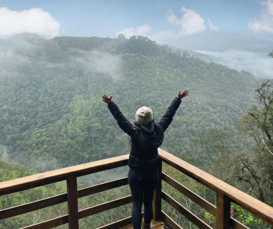 Uma mulher está em uma varanda com vista para uma floresta.