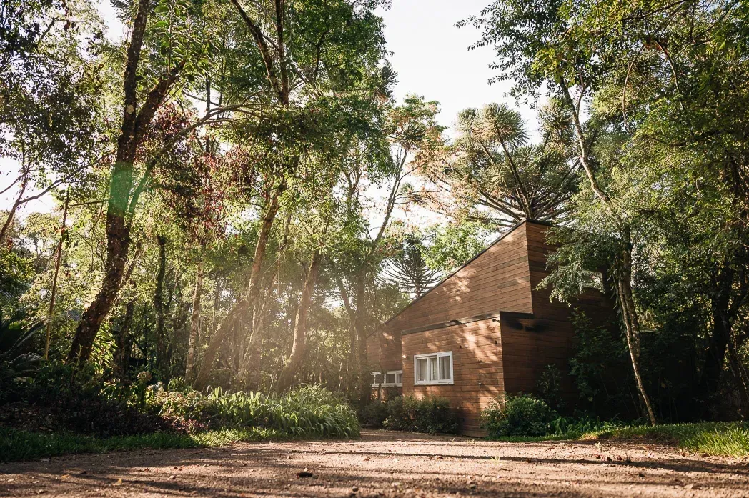 Uma casa de tijolos é cercada por árvores em uma estrada de terra.