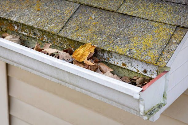 Gutter filled with leaves and debris on a house roof.