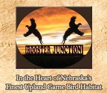 Pheasant hunting guide, pheasant Hunt, Nebraska