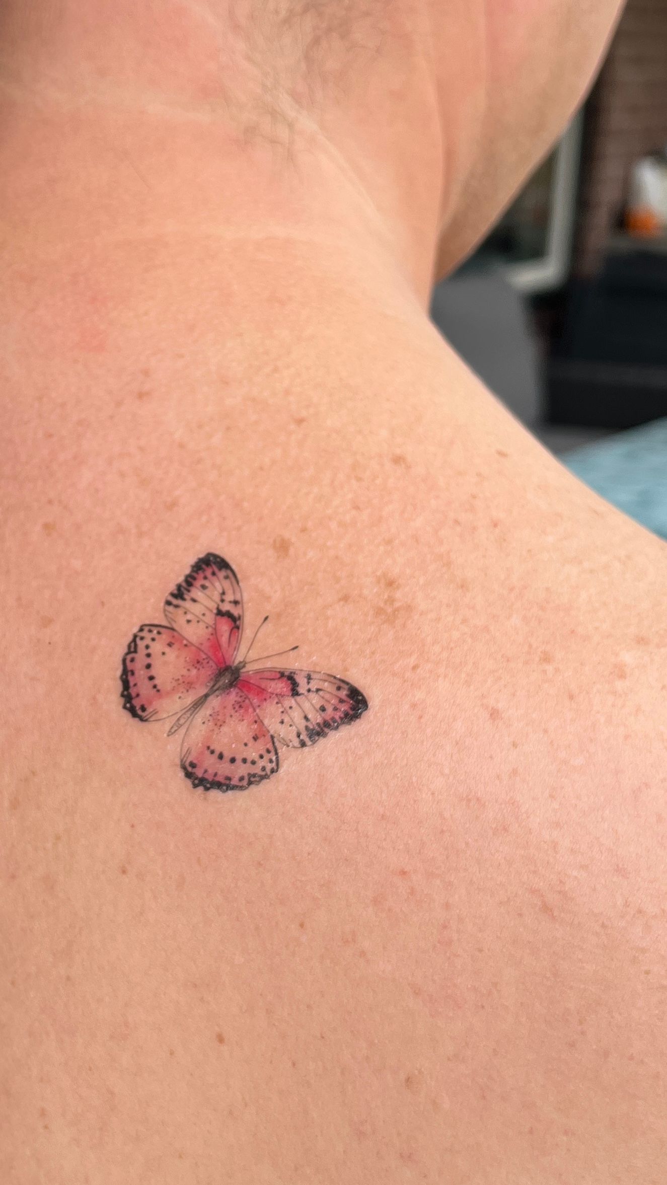 Copying Temporary Tattoo Set 4 Drag Queens