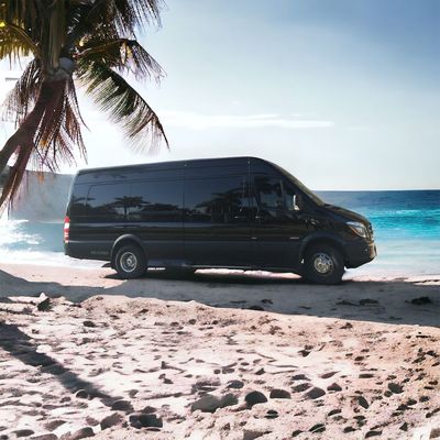 A black executive mercedes sprinter is parked on the beach next to a palm tree.