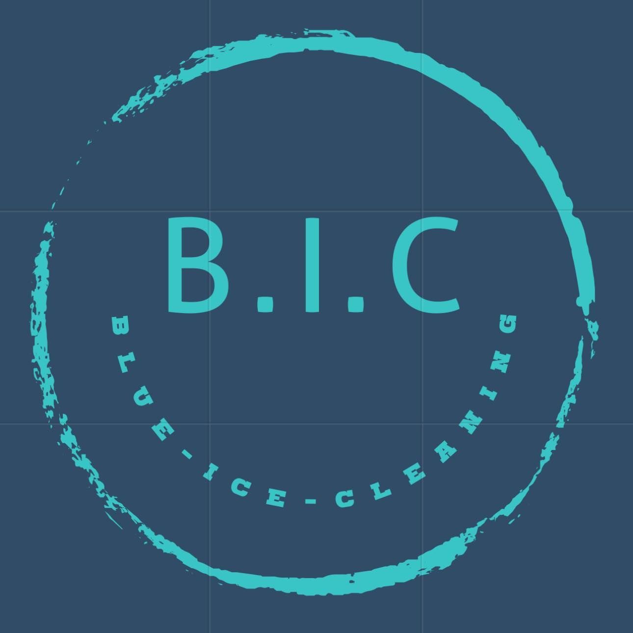 Blue Ice Cleaning Service