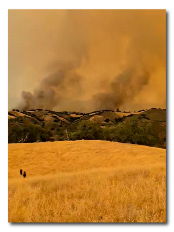 Gifford Wildfire